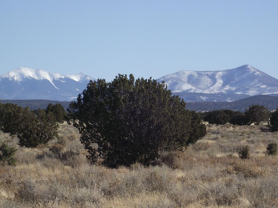 2nd image of 2940 E Wingfield Rd