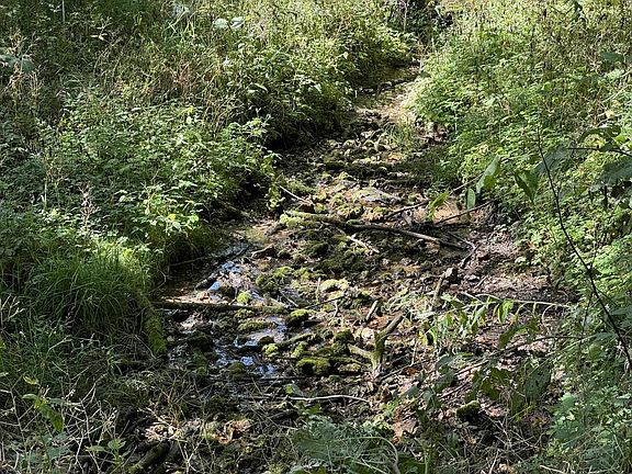 3rd image of Lot 10 Murphy Road