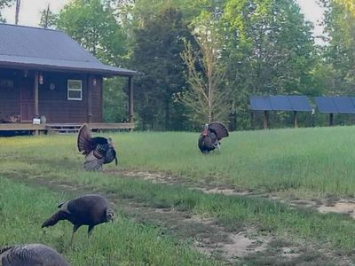 0 Bunker Hill Rd, Linden, TN, 37096