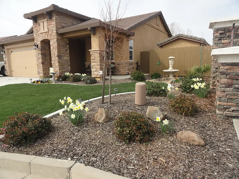 11145 Graciano Dr photo 1