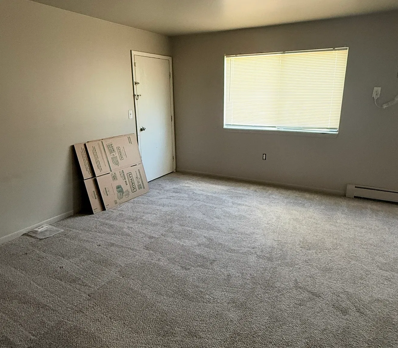 1 bed, 650 sqft, $1,100 — Photo 3
