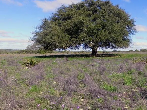 338 E Kroll, Harper, TX 78631