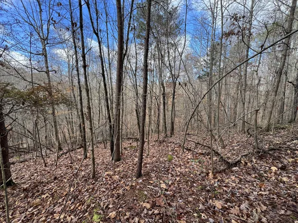 0 Smyrna Rd, Evensville, TN 37332