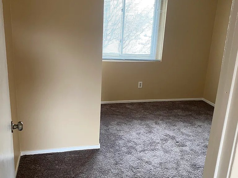 31867 Nardelli Ln — Photo 7