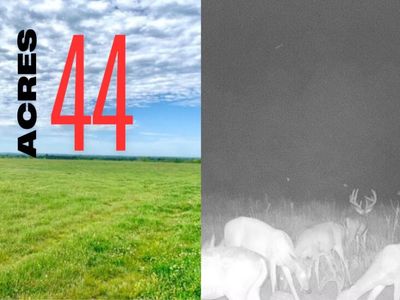 001 Tbd Mcbride Road, Protem, MO, 65733