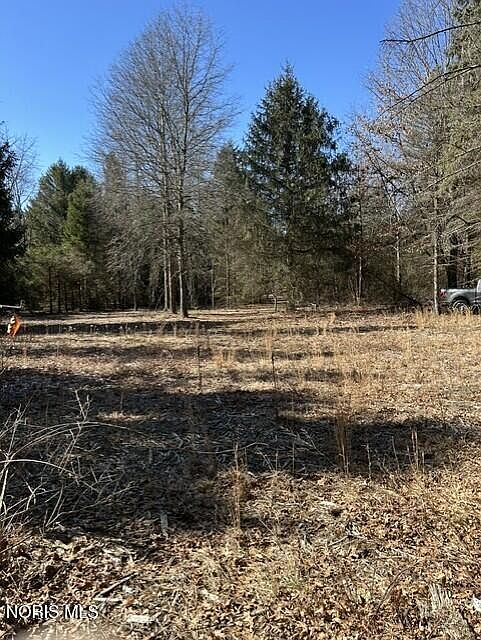 2nd image of 4655 Whitehouse Spencer Rd