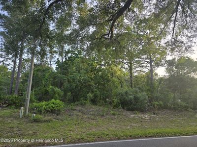 116 Oak Village Blvd S, Homosassa, FL, 34446