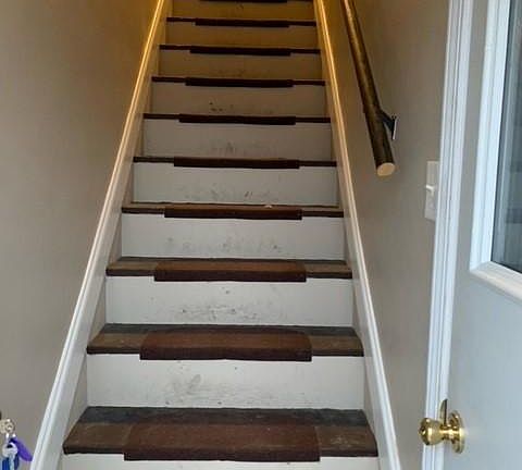 Steps from garage to the house.