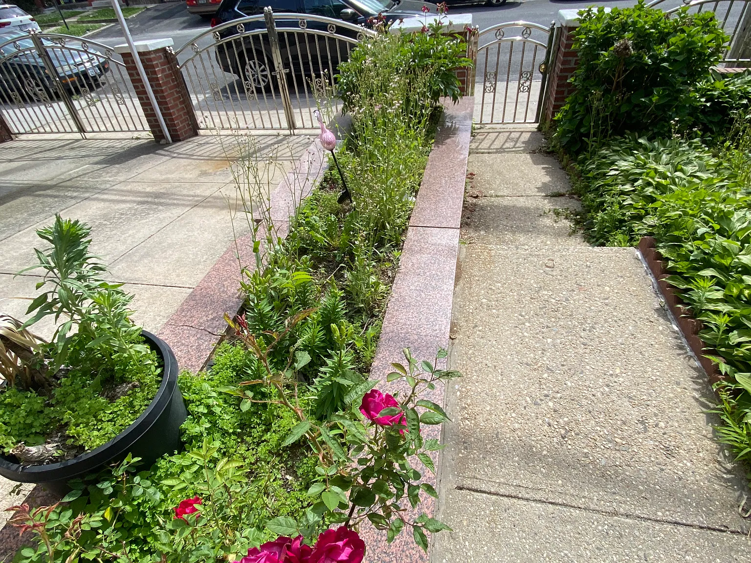 Ely Ave — Photo 3