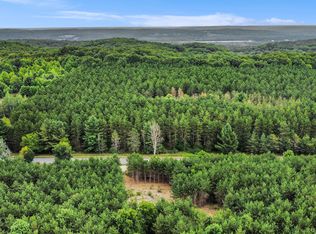 2400 Orchard Hill Rd, Bellaire, MI 49615