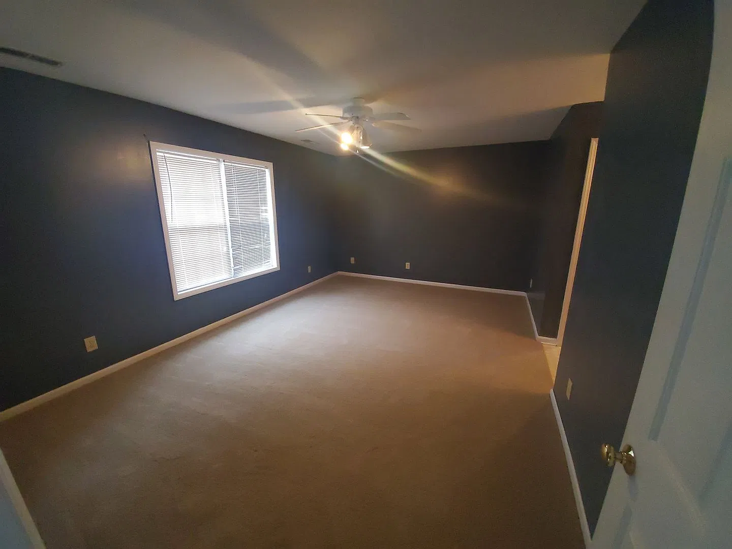149 Honey Bee Lane ~ Vass — Photo 4