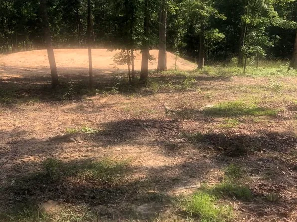80 Caney Cove Rd, Phil Campbell, AL 35581