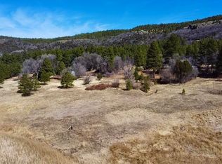 79 Lakeview Ct, Mormon Lake, AZ 86038