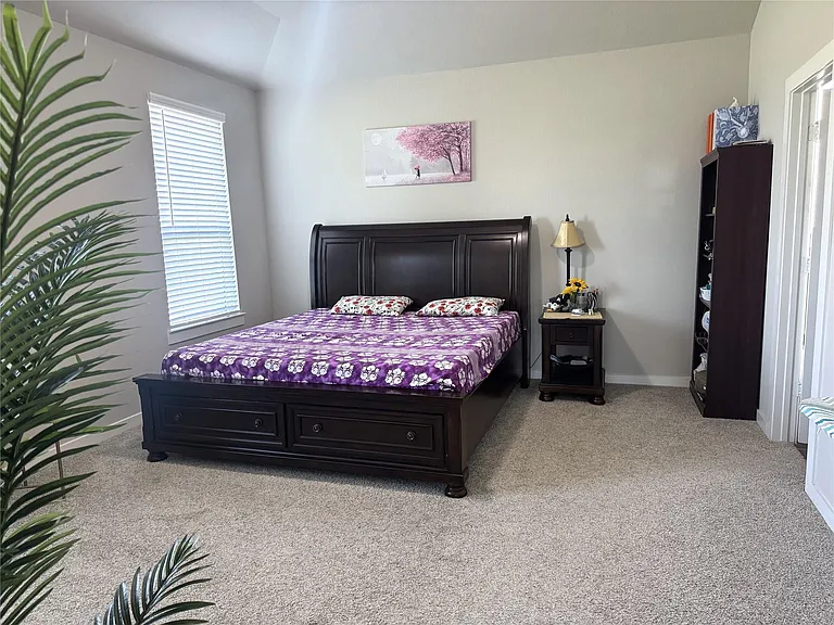 3803 Ryans Rock Ct — Photo 23