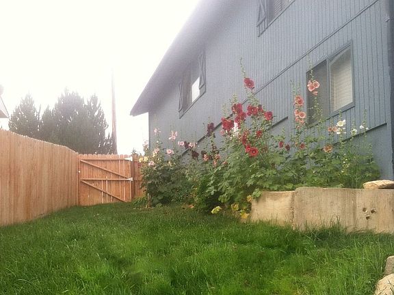 Other side yard