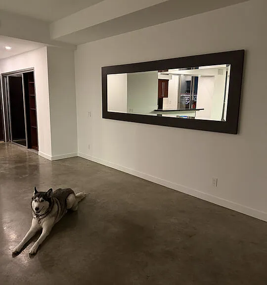 7250 Franklin Ave #801 — Photo 26