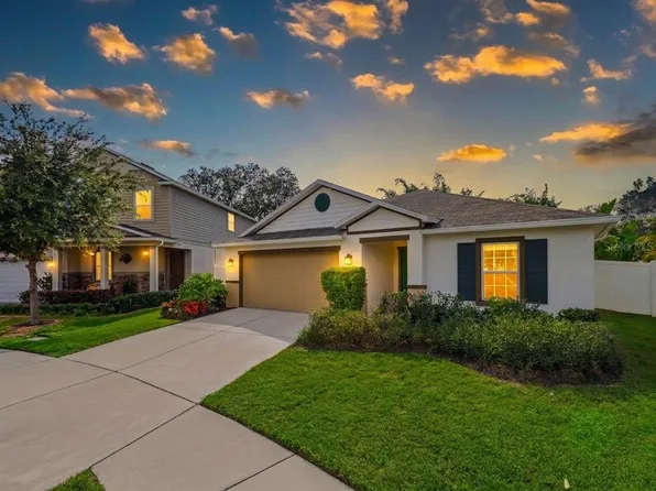 10539 Laguna Plains Dr, Riverview, FL 33578