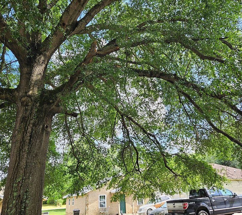 Celia 99 Celia St East Dublin GA Zillow