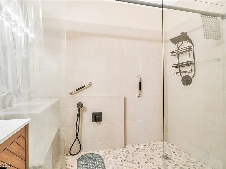 2050 W Warm Springs Rd #2411 — Photo 21