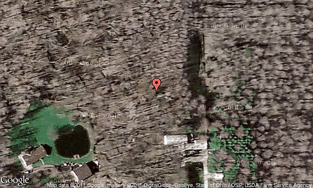Map View