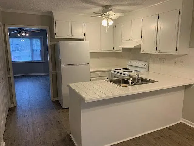 860 Spring Forest Rd — Photo 4