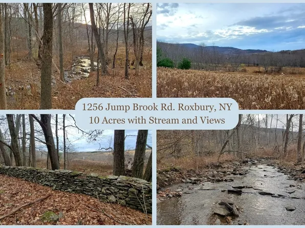 1256 Jump Brook Rd #72, Roxbury, NY 12474