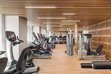 Rented by Mayell LLC