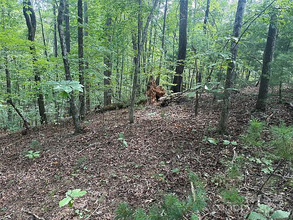 2nd image of Forest Country Dr #66