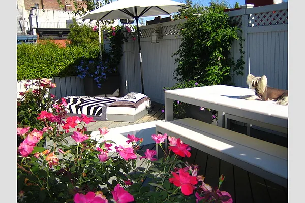 Rented by Stribling | media 20