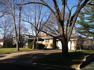 View from Driveway