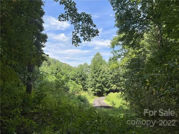 21 Talking Rock Ln #49, Leicester, NC 28748