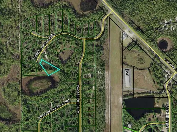 LOT 84 Hidden Pond Ln, Panacea, FL 32346