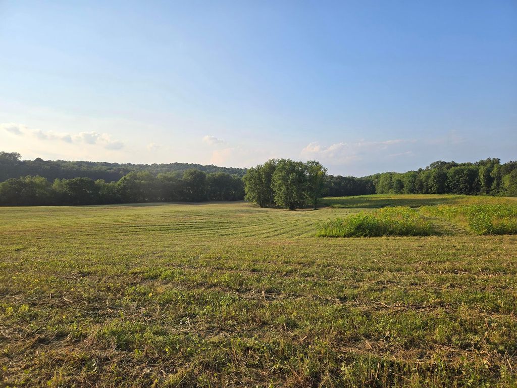 Real estate listing image