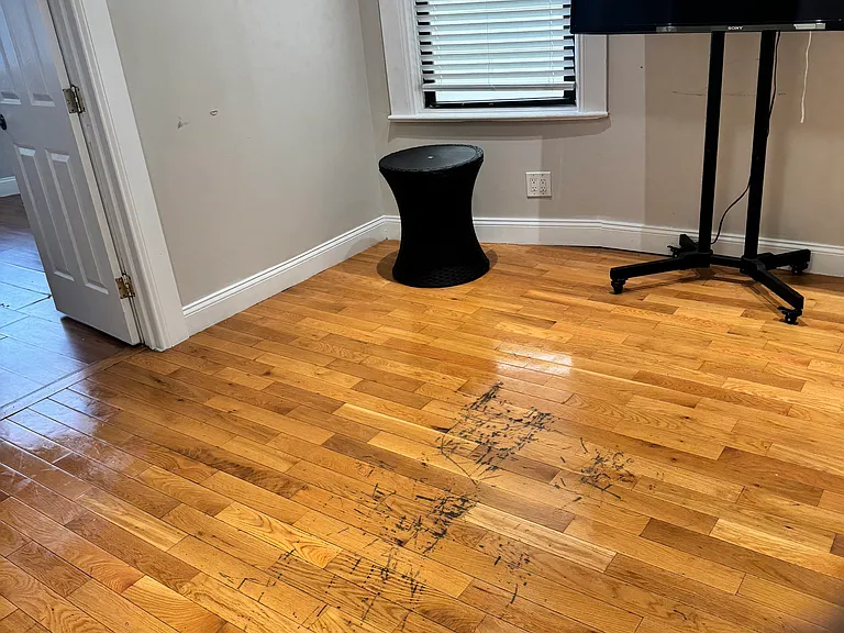 34 Gladstone Ave #1 — Photo 6