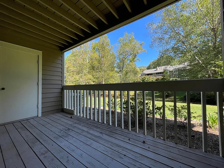 Nice-sized Back Porch