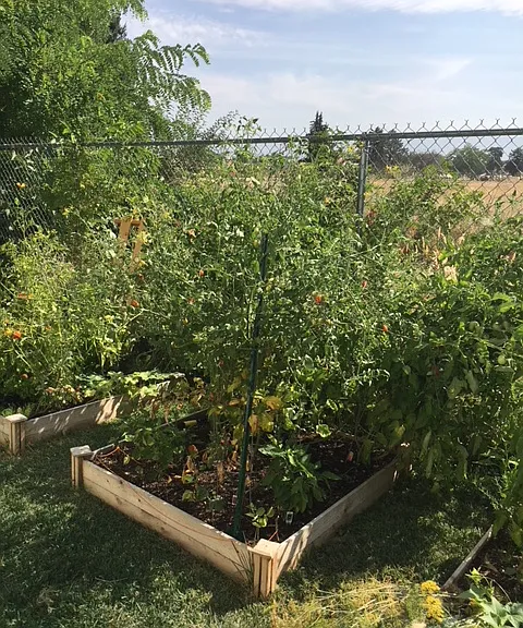 Community Gardens. Come Plant Your Veggies!