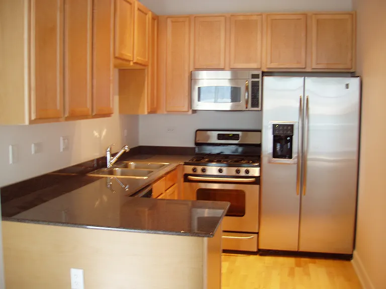 1305 S Michigan Ave #1109 — Photo 7
