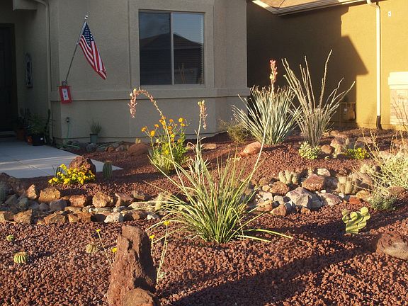 Low Maintenance Front Yard