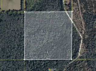 Seven Bridges Rd, Monticello, FL 32344