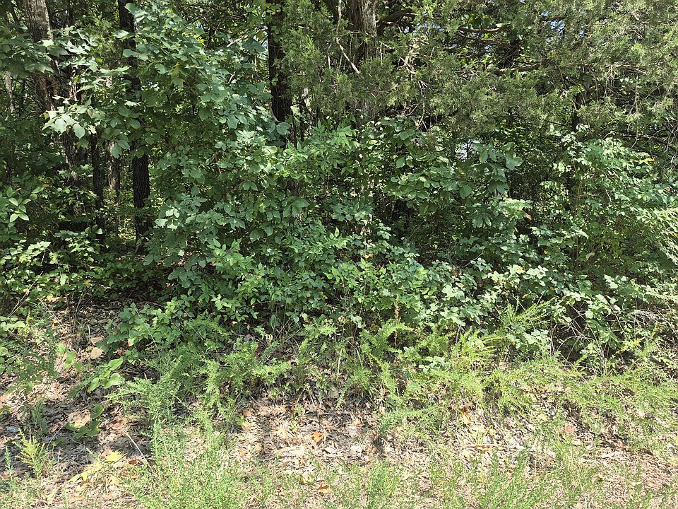 1st image of Lots 5 & 6 East Gate Road