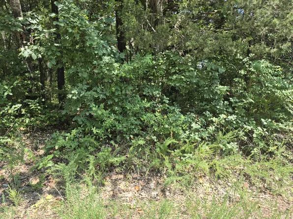 Lots 5 & 6 East Gate Road, Merriam Woods, MO 65740