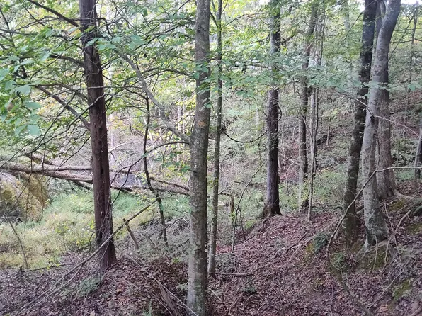 0 Summertown Rd Lot 2, Jasper, TN 37347