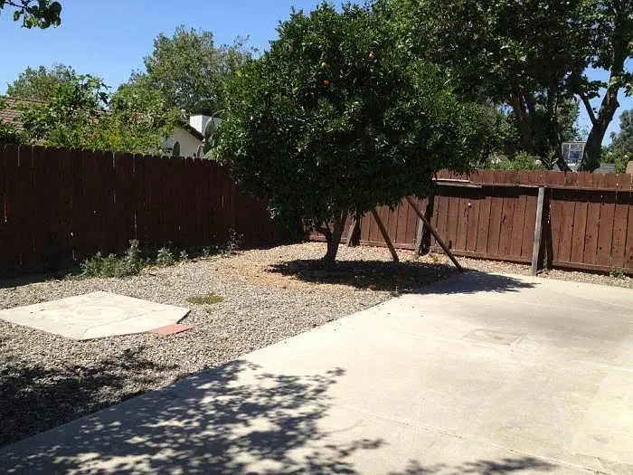1891 Earl Way — Photo 4