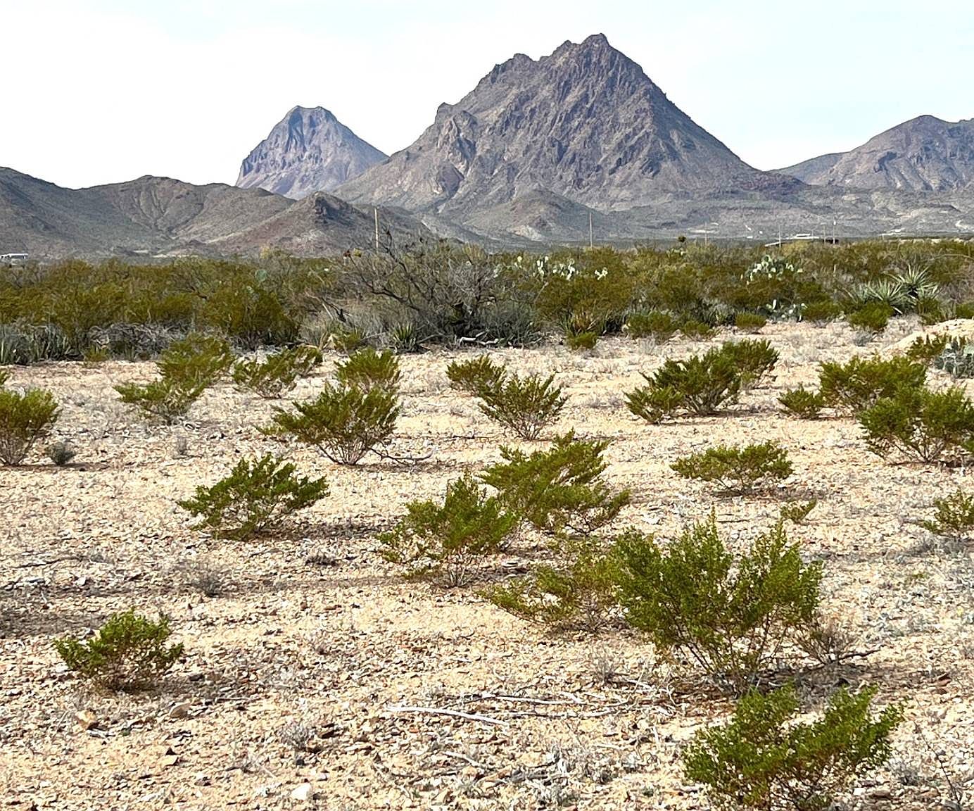 691 Sombereo Peak Rd 1213, Terlingua, TX 79852 MLS 11232579 Zillow