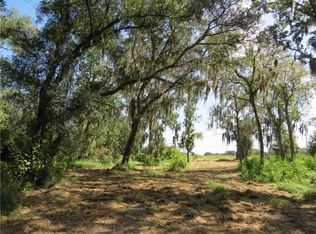 2505 Crestview Dr, Wimauma, FL 33598