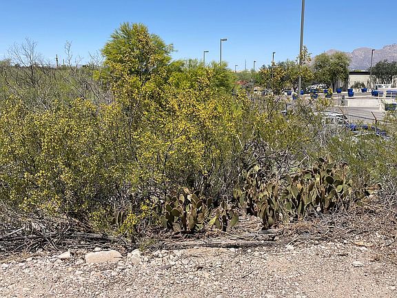 4th image of 1851 W Speedway Blvd