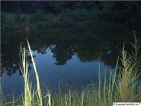 1st image of 129 County Road 828