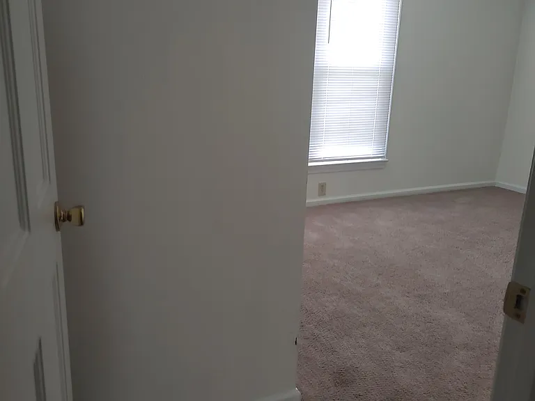 421 Currituck Dr — Photo 31