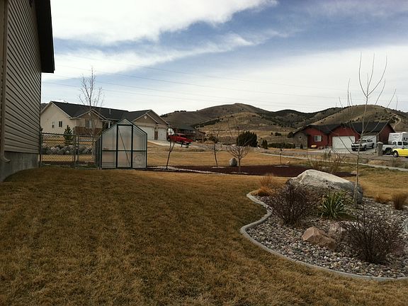 orchard & dog kennel