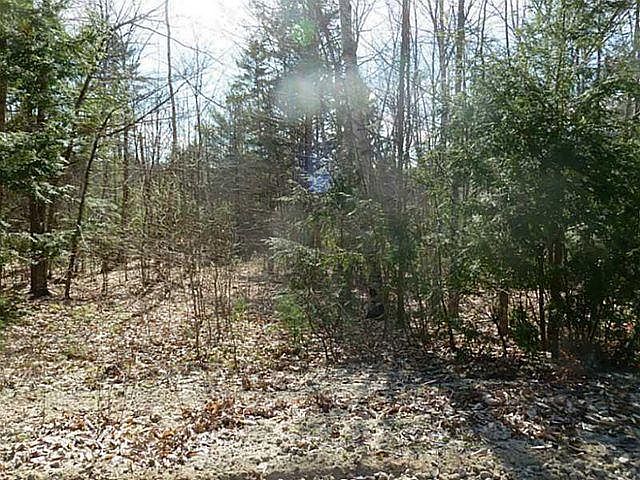 2nd image of Lot 2 Pinewood Lane